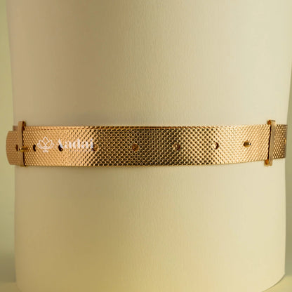 Regal Lakshmi Pendant Hip Belt