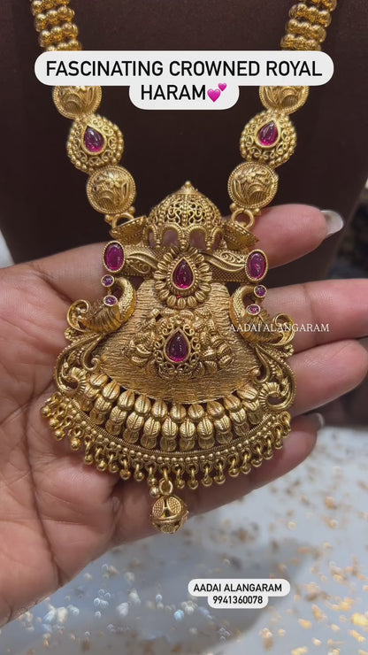 Fascinating Crowned Royal Haram